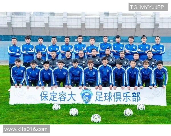 向往足球明星名单汇总及其成就分析与球迷互动活动计划