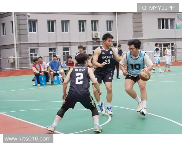 南京篮球队展现出色团队协作能力助力联赛表现分析