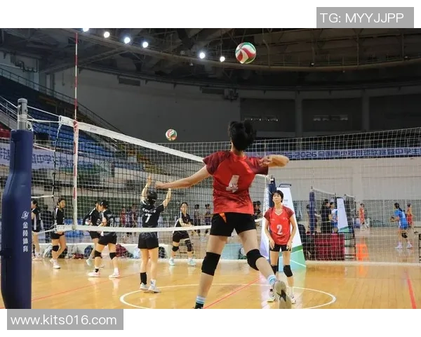 广州排球队灵活性揭秘：排球运动中的战术与技巧探索